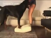 Homemade dog sex with a busty babe